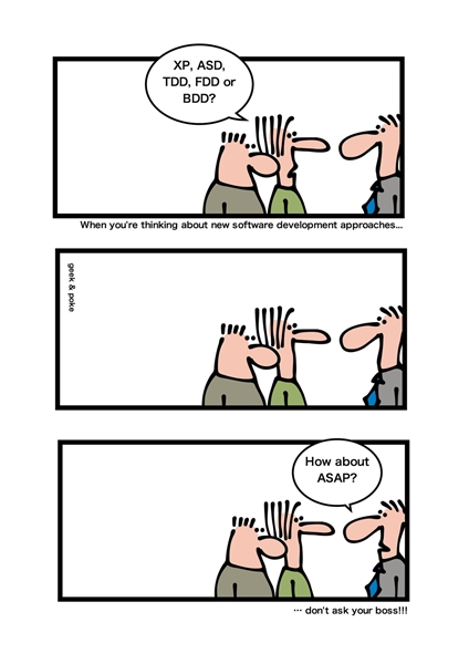 Humor - Cartoon: Executive's Preferred Software Development Methodology
